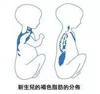 1559026248340877.jpg 微信圖片_20190528144552.jpg