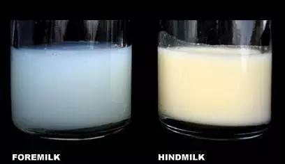 1559026301868221.jpg 微信圖片_20190528144557.jpg